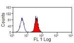 SIGLEC9 Antibody in Flow Cytometry (Flow)