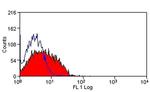 DLL4 (delta-like 4) Antibody in Flow Cytometry (Flow)