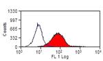 TREM2 Antibody in Flow Cytometry (Flow)