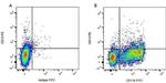 CD13 Antibody in Flow Cytometry (Flow)