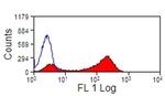 CD13 Antibody in Flow Cytometry (Flow)