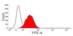 CD14 Antibody in Flow Cytometry (Flow)