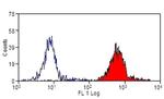 CD45 Antibody in Flow Cytometry (Flow)