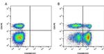 CD45RB Antibody in Flow Cytometry (Flow)