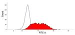 CD63 Antibody in Flow Cytometry (Flow)