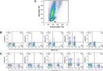 IL-4 Antibody in Flow Cytometry (Flow)