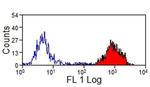 MHC I Monomorphic Antibody in Flow Cytometry (Flow)