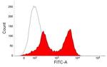 T-Lymphocytes Antibody in Flow Cytometry (Flow)