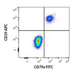 CD79a Antibody in Flow Cytometry (Flow)