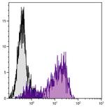 CD62E/CD62P Antibody in Flow Cytometry (Flow)