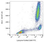 Lysozyme Antibody in Flow Cytometry (Flow)