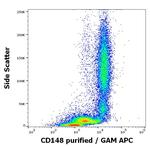 CD148 Antibody in Flow Cytometry (Flow)
