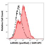 LARGE Antibody in Flow Cytometry (Flow)