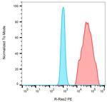 RRAS2 Antibody in Flow Cytometry (Flow)