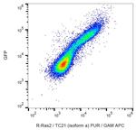 RRAS2 Antibody in Flow Cytometry (Flow)