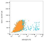 ARHGEF4 Antibody in Flow Cytometry (Flow)