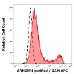 ARHGEF4 Antibody in Flow Cytometry (Flow)