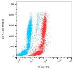 WBP1L Antibody in Flow Cytometry (Flow)