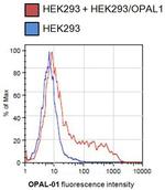 WBP1L Antibody in Flow Cytometry (Flow)