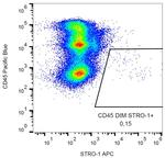 STRO-1 Antibody in Flow Cytometry (Flow)