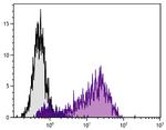 CD62E/CD62P Antibody in Flow Cytometry (Flow)