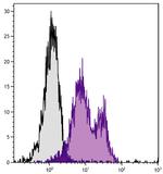 Qa-2 Antibody in Flow Cytometry (Flow)