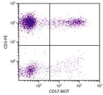 CD57 Antibody in Flow Cytometry (Flow)