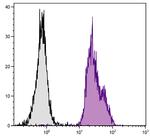 beta-2 Microglobulin Antibody in Flow Cytometry (Flow)