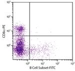 Pan B Cells Antibody in Flow Cytometry (Flow)