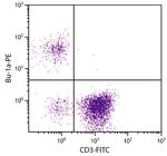 Bu-1a Antibody in Flow Cytometry (Flow)