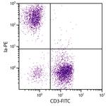 MHC Class II (I-A/I-E) Antibody in Flow Cytometry (Flow)