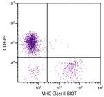 MHC Class II Antibody in Flow Cytometry (Flow)