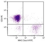 MHC Class II Antibody in Flow Cytometry (Flow)