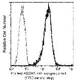 ASGR2 Antibody in Flow Cytometry (Flow)