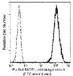 BACE1 Antibody in Flow Cytometry (Flow)