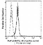 BMP-2 Antibody in Flow Cytometry (Flow)