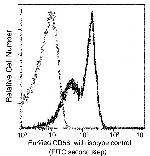 CD58 Antibody in Flow Cytometry (Flow)