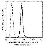 DARS Antibody in Flow Cytometry (Flow)