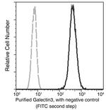 Galectin 3 Antibody in Flow Cytometry (Flow)