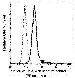 ARD1A Antibody in Flow Cytometry (Flow)