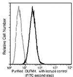 OLFM4 Antibody in Flow Cytometry (Flow)