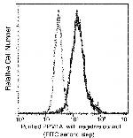 PPM1A Antibody in Flow Cytometry (Flow)