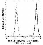 Renin Antibody in Flow Cytometry (Flow)