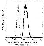 USP7 Antibody in Flow Cytometry (Flow)