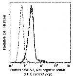 14-3-3 beta Antibody in Flow Cytometry (Flow)