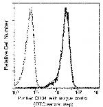 CD34 Antibody in Flow Cytometry (Flow)