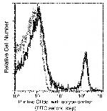 CD8 alpha Antibody in Flow Cytometry (Flow)