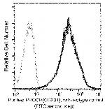 EPCR Antibody in Flow Cytometry (Flow)