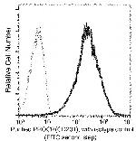 EPCR Antibody in Flow Cytometry (Flow)