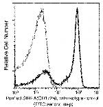 SIRP alpha Antibody in Flow Cytometry (Flow)